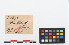 Etikett zu Bronzeschlangenfibel (NHMW-PRAE-024678)